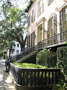 Savannah 131
